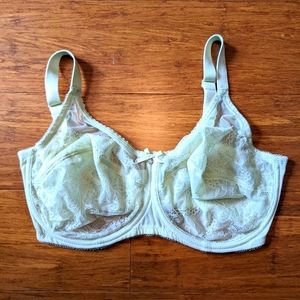 36G light green lace bra